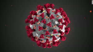 Bild på Corona-virus.